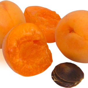 Peach PNG image