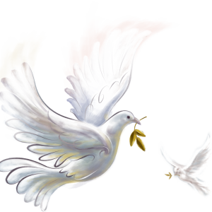Pigeon PNG