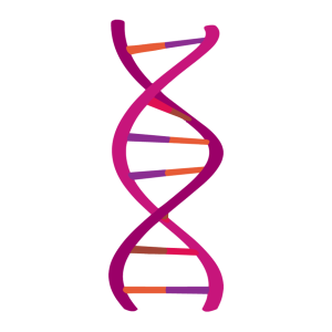 DNA PNG