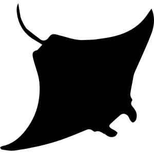 Stingray PNG