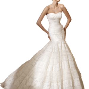 Bride PNG