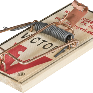 Mouse trap PNG