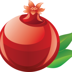 Pomegranate PNG