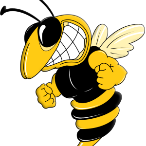 Wasp PNG