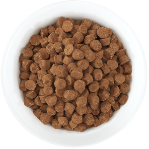 Dog food PNG