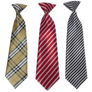 Tie PNG image