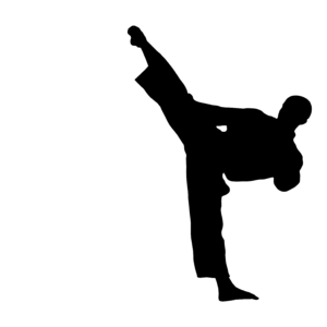 Taekwondo PNG