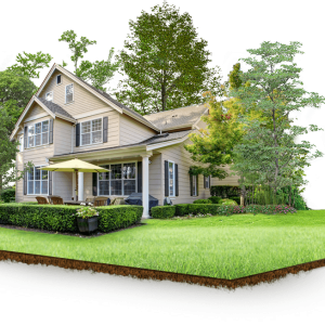 House PNG