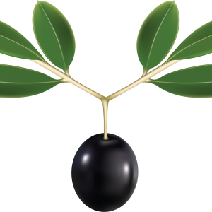 Olive PNG
