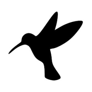 Hummingbird PNG