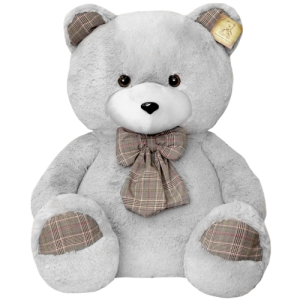 Teddy bear PNG