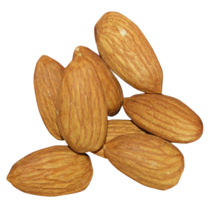 Almond PNG