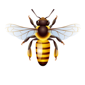 Bee PNG
