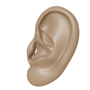 Ear PNG