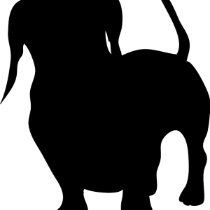 Dachshund PNG