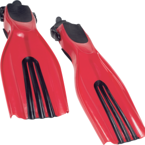 Flippers PNG