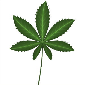 Cannabis PNG