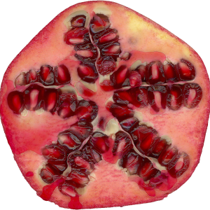 Pomegranate PNG