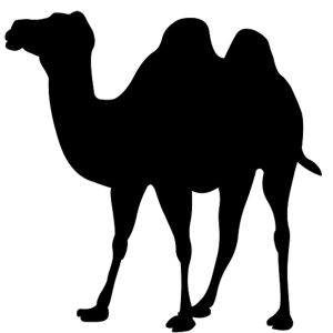 Camel PNG