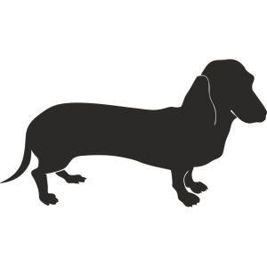 Dachshund PNG