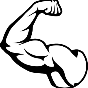 Muscle PNG