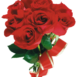 Rose PNG