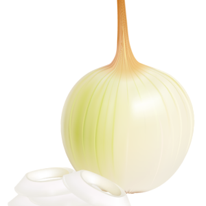 Onion PNG