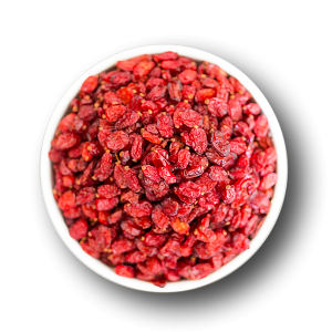 Berberis PNG