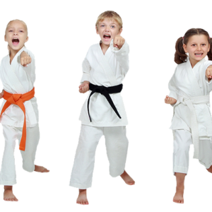 Karate PNG