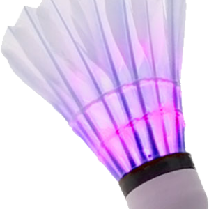 Badminton volant PNG image