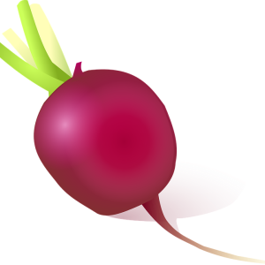 Beet PNG