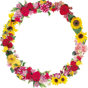 Floral frame PNG