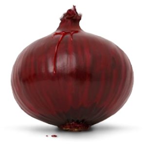 Onion PNG image, free download picture