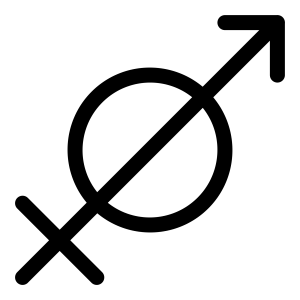 Sagittarius PNG