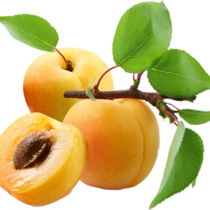 Apricots PNG