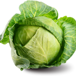 Cabbage PNG image