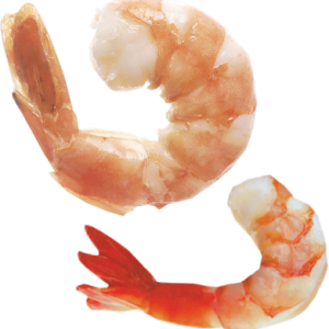 Shrimps PNG