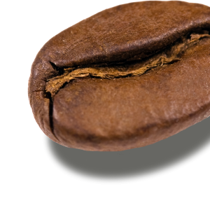 Coffee beans PNG