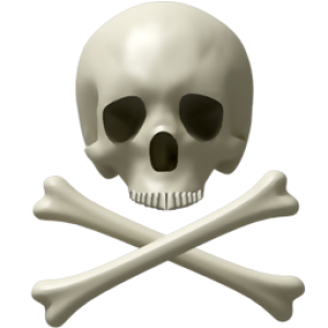 Skull and bones PNG image