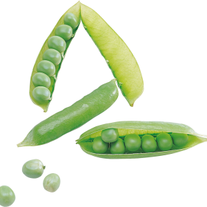 Pea PNG