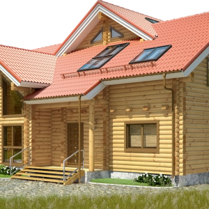 House PNG