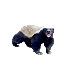 Badger PNG