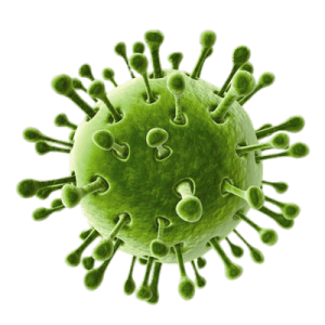 Coronavirus PNG