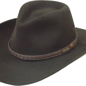 Cowboy hat PNG