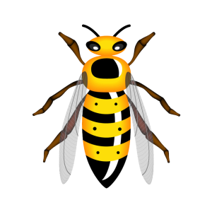 Wasp PNG