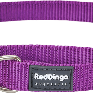 Dog collar PNG