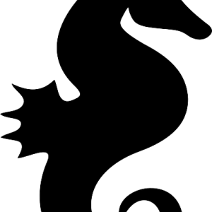 Seahorse PNG