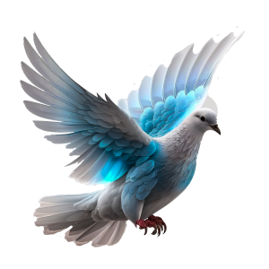 white dove pigeon PNG