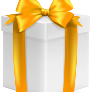 Gift box PNG