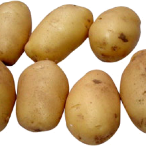 Potato png images, pictures, free download